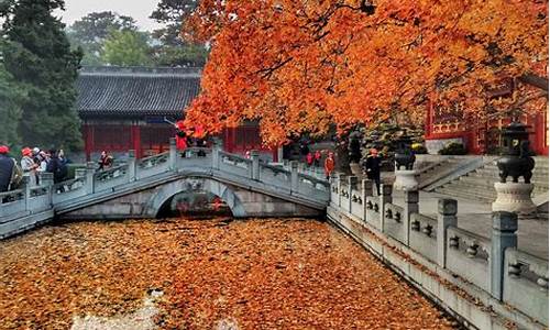 北京香山一日游玩攻略_北京香山一日游玩攻